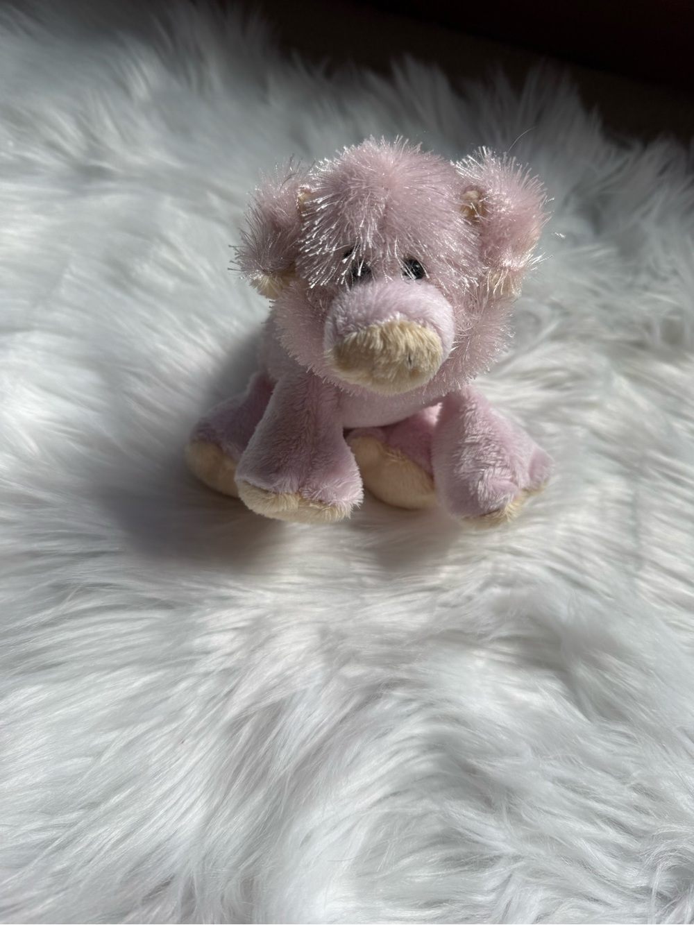 Lil Kinz Pig Webkinz